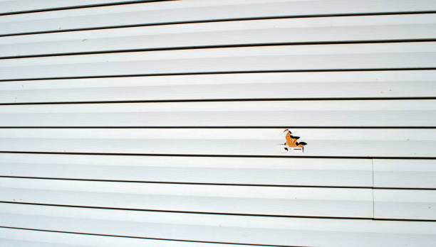 Storm Damage Siding Repair in Olney, MD
