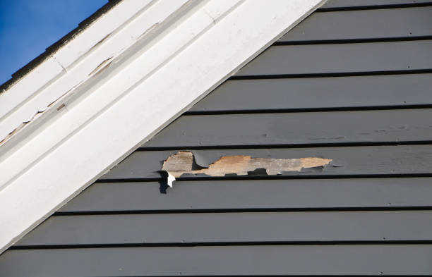 Best Siding Painting and Refinishing  in Olney, MD